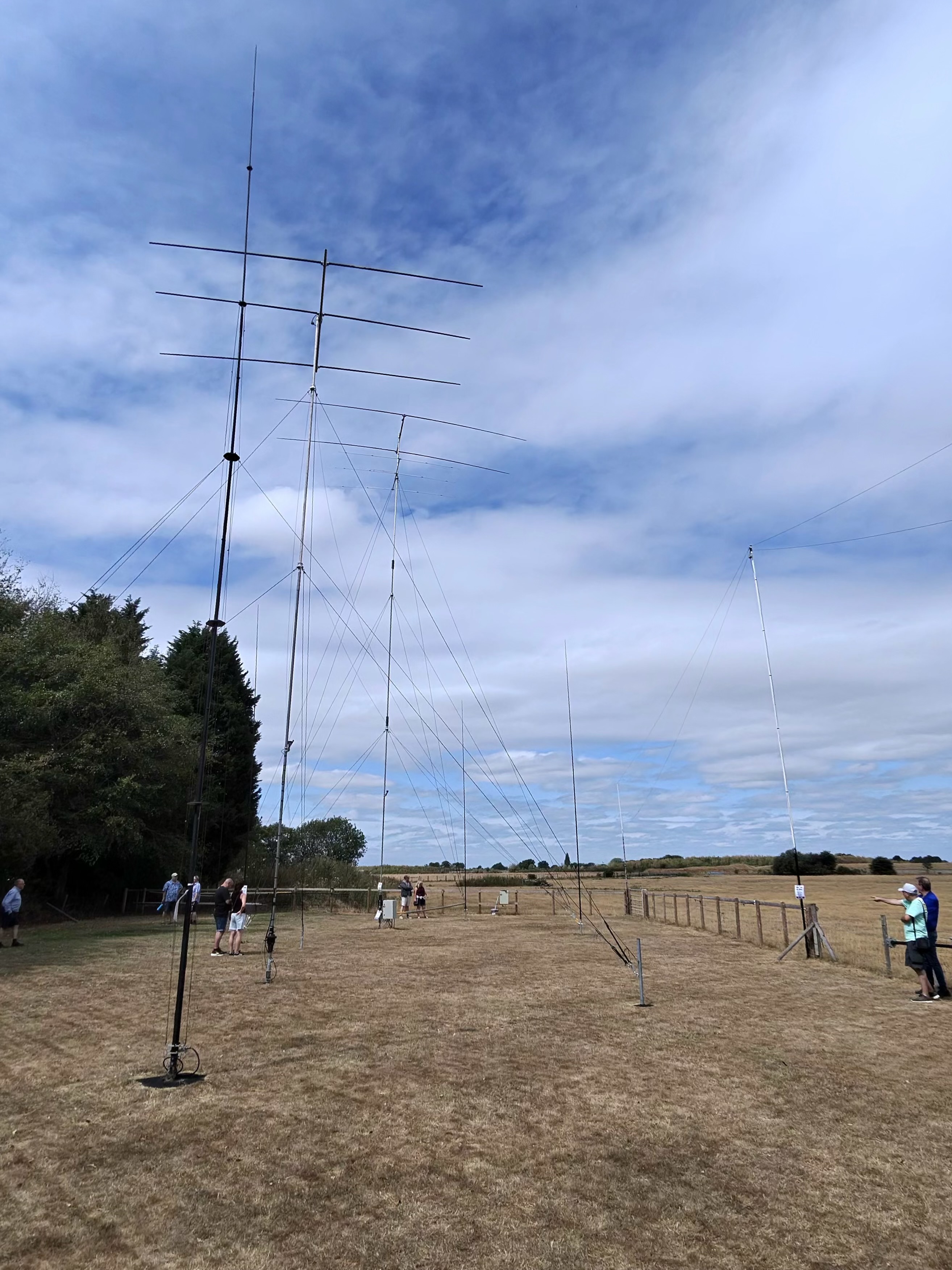 Callum’s antenna field